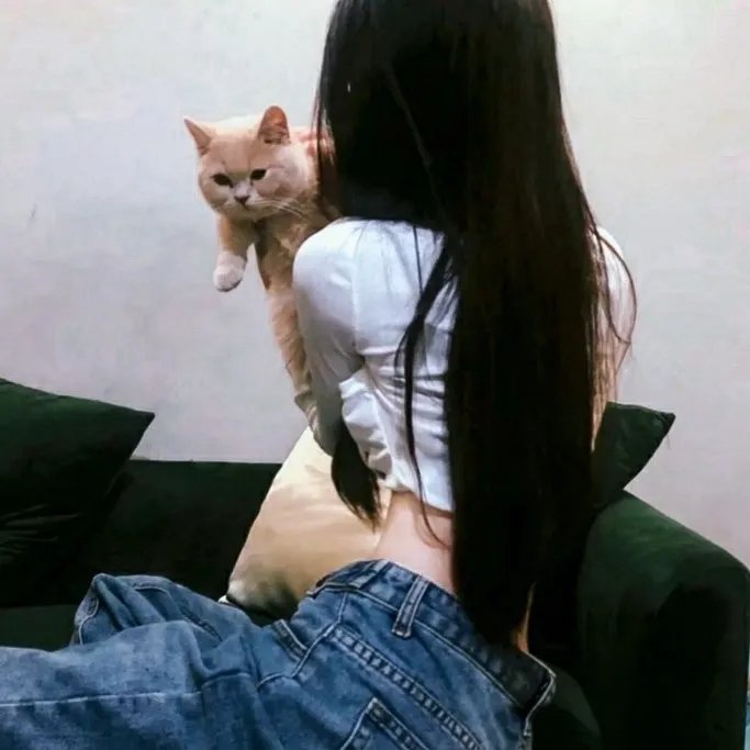 男丁格尔